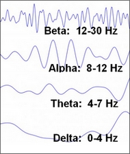 meditation-and-the-brain1